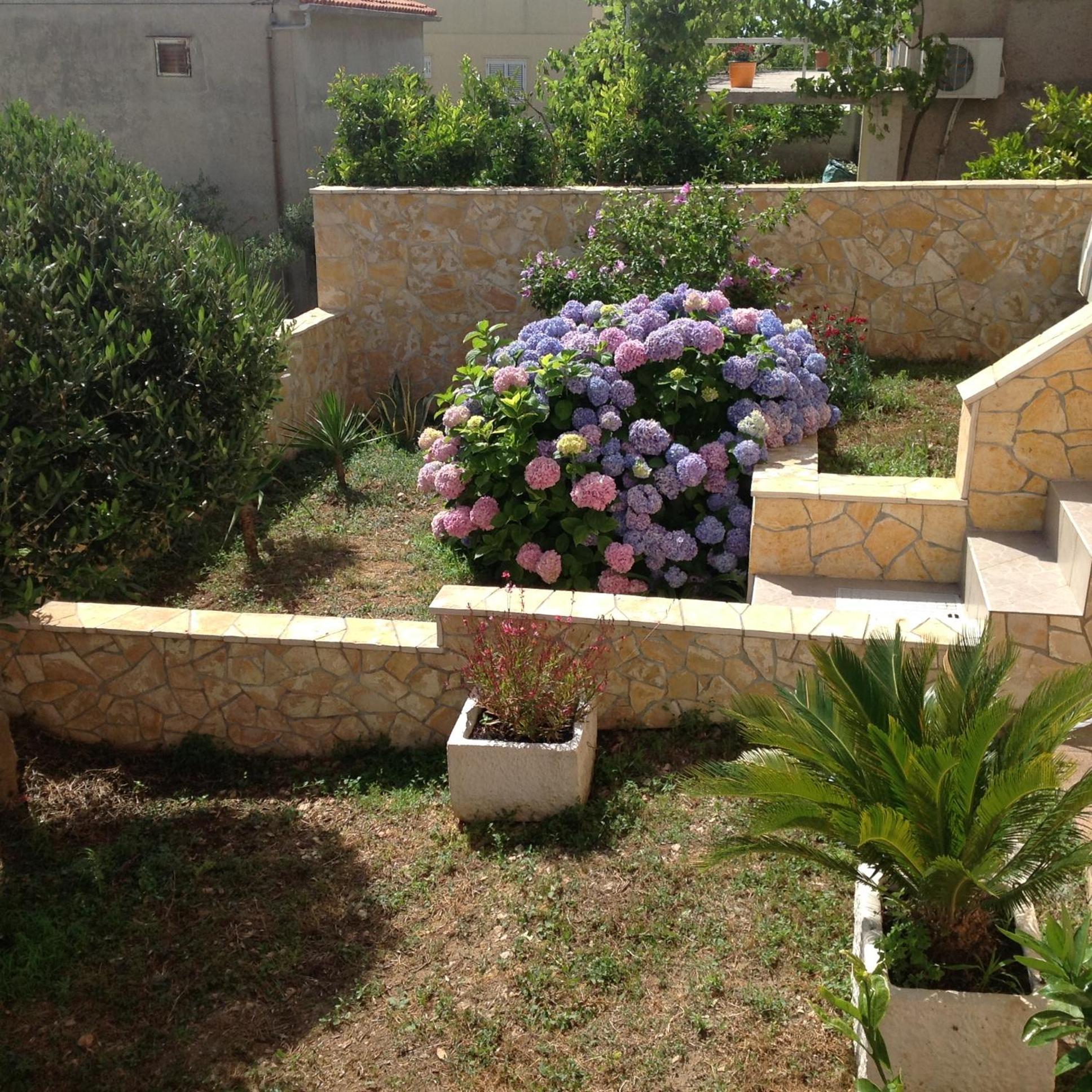 Apartments Kristina Hvar Town Bilik gambar